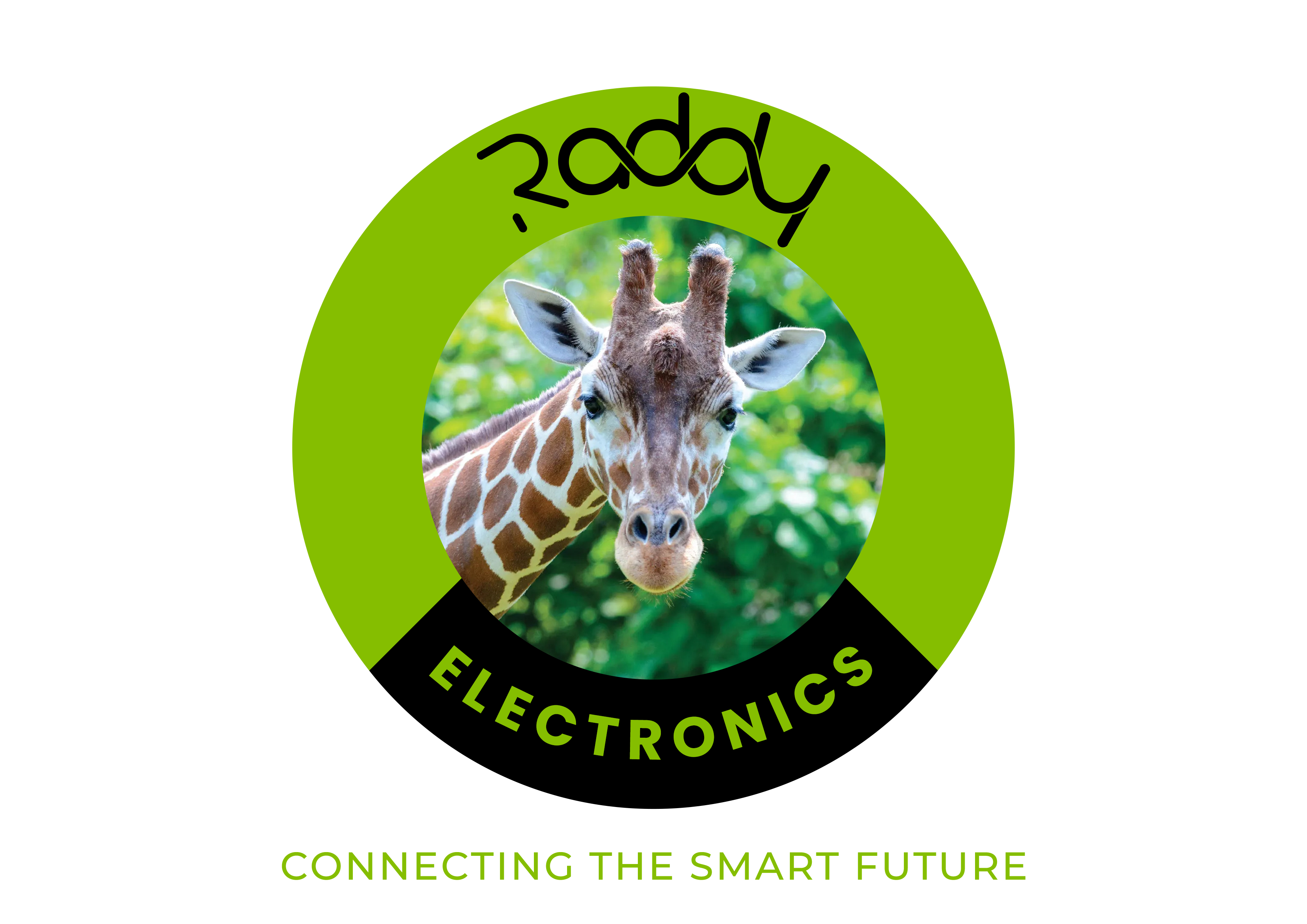 RADDY ELECTRONICS